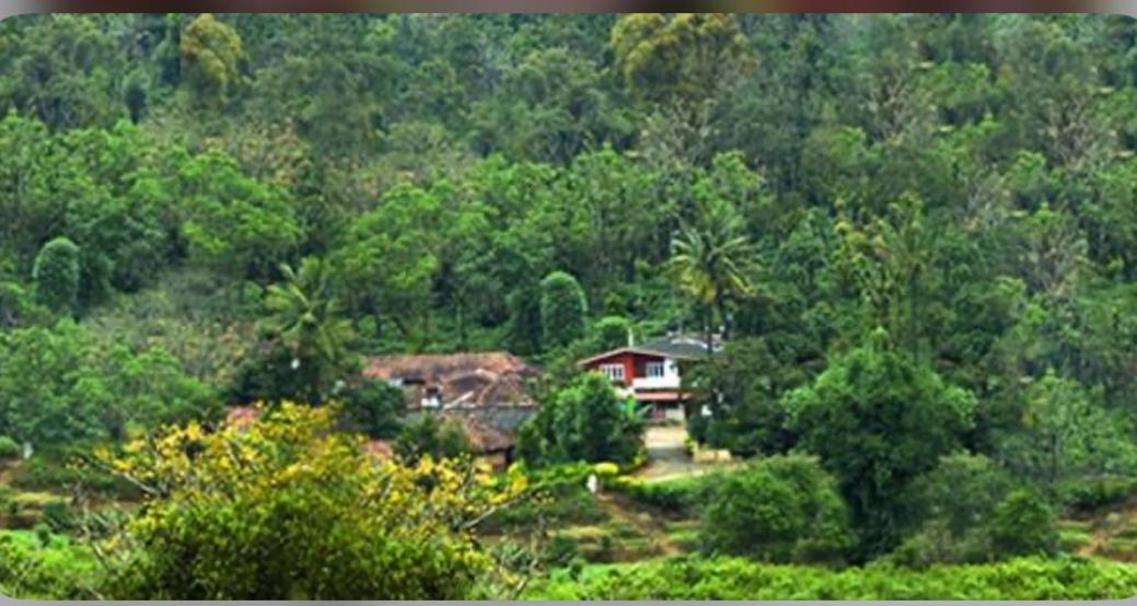 Coorg Naladi Holidays Kakkabe Exteriér fotografie